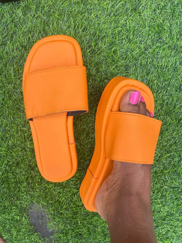 Photo 4 2023 11 11 00 49